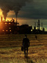 Food, Inc.