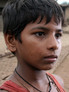 Kavi