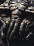 District 9
